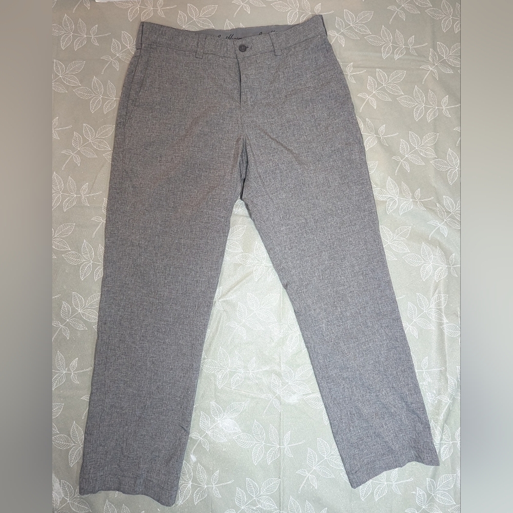 Dress pants